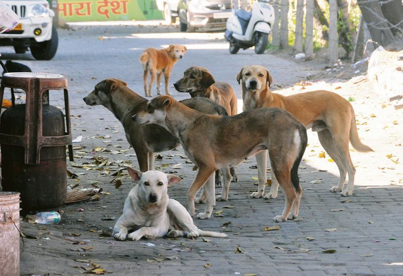Delhi NCR Latest News