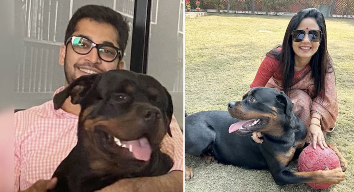 Mahua Moitra dog custody case