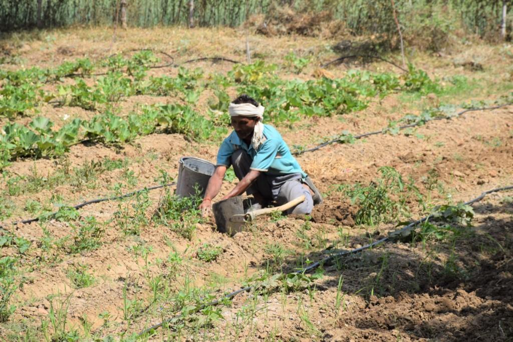 Rajasthan Farmers Challenges