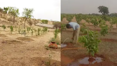 Rajasthan Green Mission