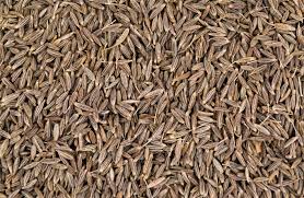  Cumin Market Rajasthan