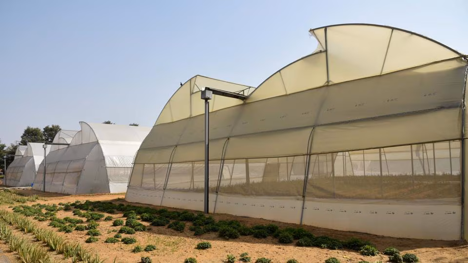 Rajasthan Agriculture Innovation