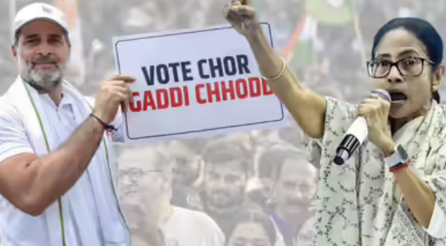 Vote Chori Politics